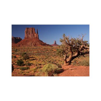 Monument Valley Decoration Decal