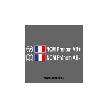 2x French Flag Steering Wheel Pilot / Co-pilot Custom Decals