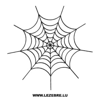 Spider Web Carbon Decal 2