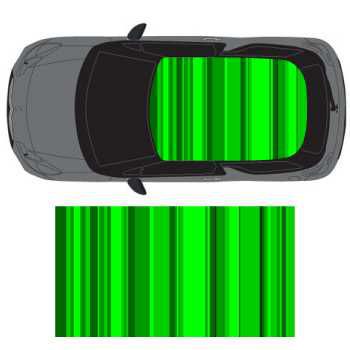 Graphic Art Shades of Green car roof sticker