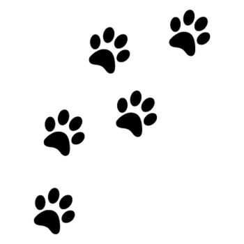 Cat paws Decal