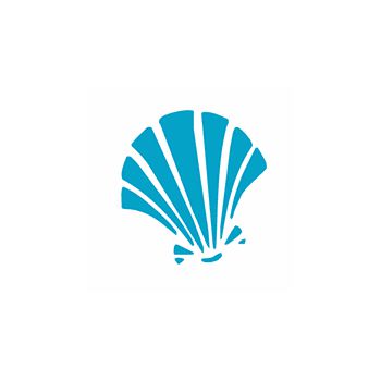 Shell Decal 1