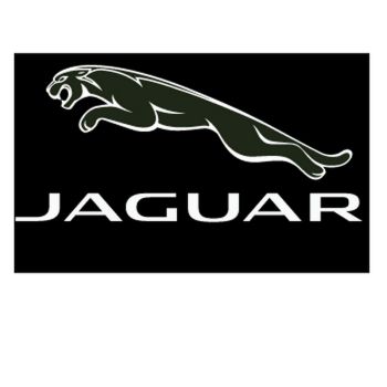 Jaguar Decal