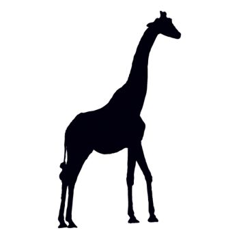Sticker Girafe Safari