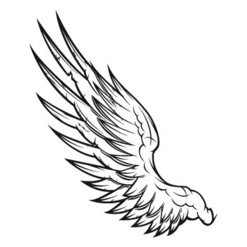 Angel Wings Decal