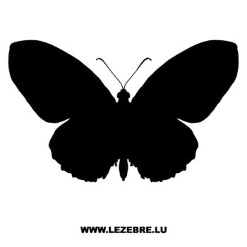 Sticker Schmetterling 38