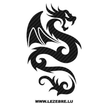 Dragon Wings Carbon Decal 61