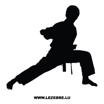 Martial Art Karate Decal 2