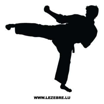 Martial Art Karate Decal 3