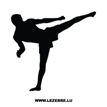 Martial Art Lethwei Decal