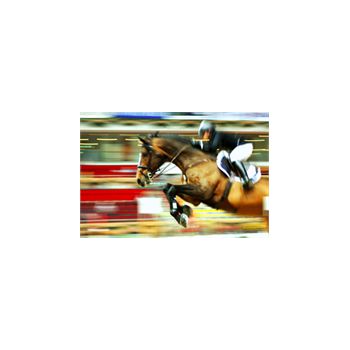 Sticker Déco Equitation course cheval Jockey