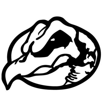 Sticker Tony Hawk logo