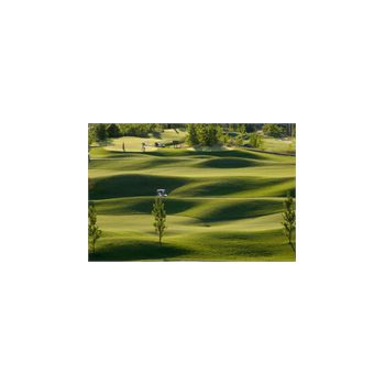 Sticker Déco Terrain de golf
