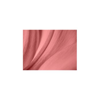 Sticker Deko Texture sensuel d'une rose