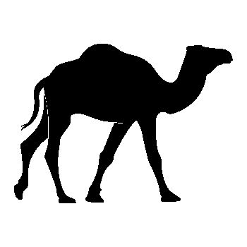 Sticker Kamel