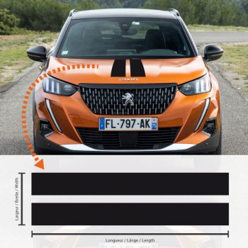 Peugeot 2008 Double Stripes Decal