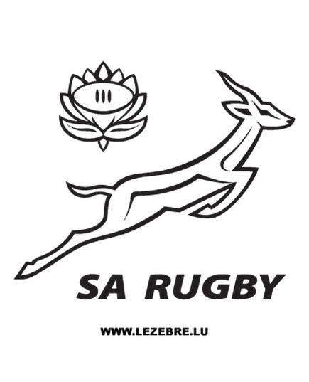 Sweat-shirt Afrique du Sud Rugby Logo