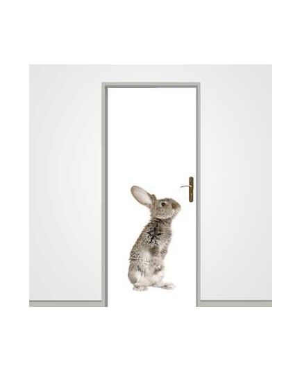 Little Rabbit door decal