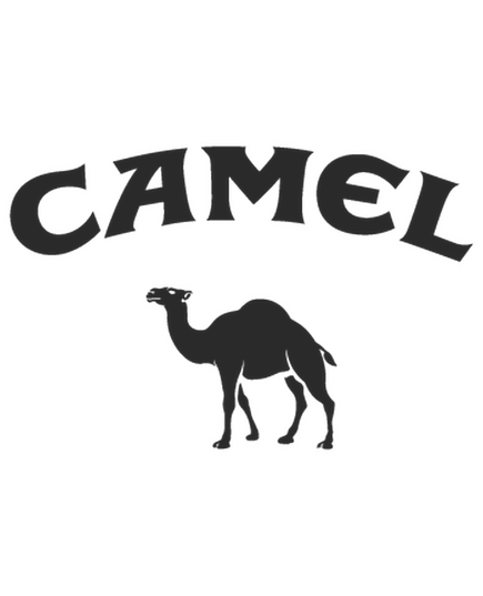 Camel Logo Decal