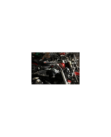 Sticker Déco Motos Harley Davidson Mean Streak