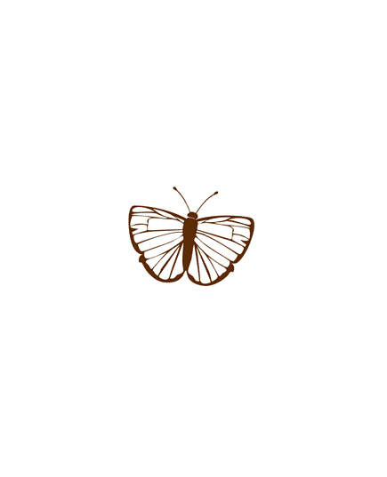 Sticker Dekoration Schmetterling 1
