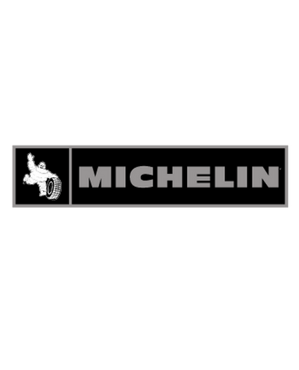 Michelin Logo Decal