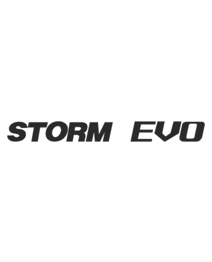 Storm Evo Logo Decal