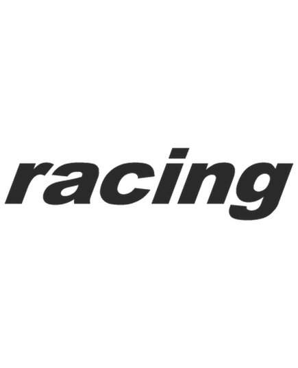 Aprilia Racing Decal 1