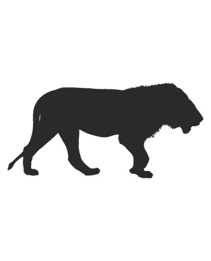 Sticker Lion Safari