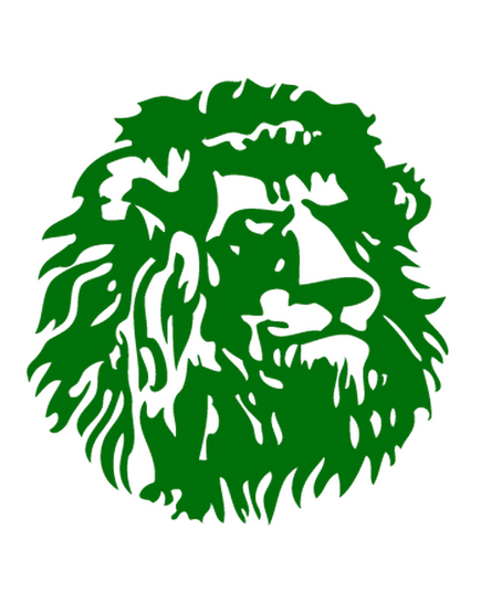 T-Shirt Cameroun Lion
