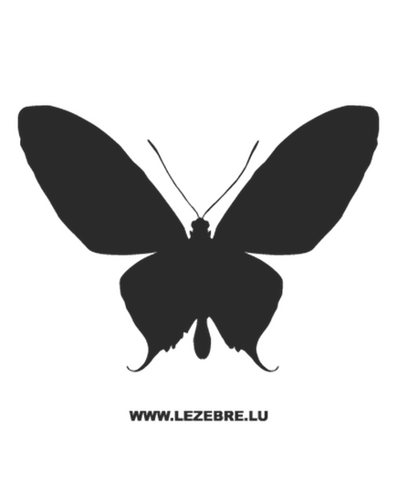 Butterfly Decal 11