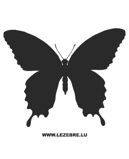 Butterfly Decal 20