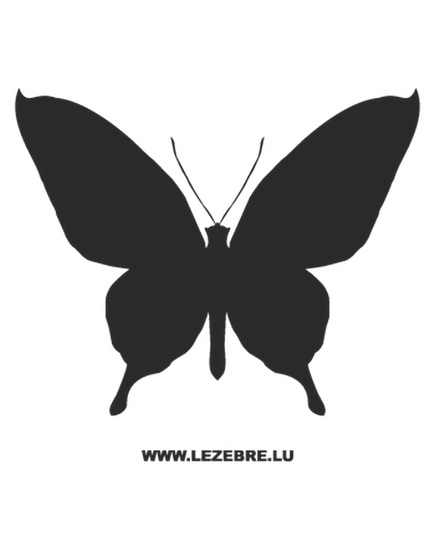 Butterfly Decal 23