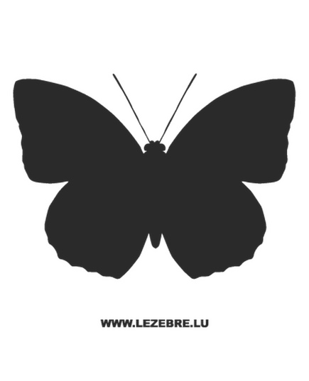 Butterfly Decal 42