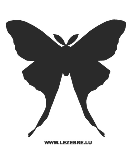 Butterfly Decal 51