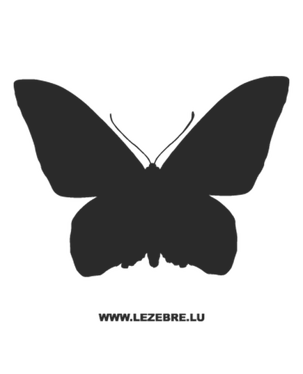 Butterfly Decal 53