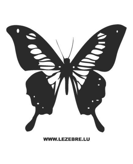 Butterfly Decal 63