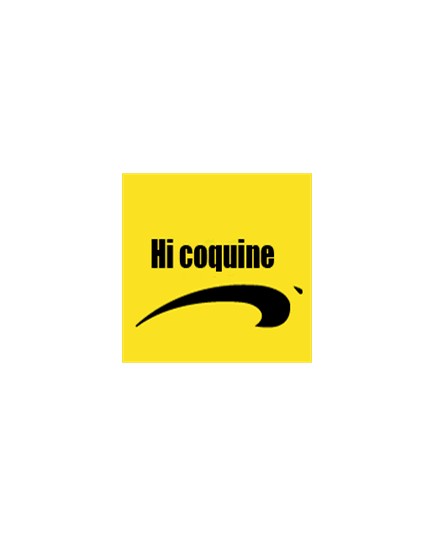 Tee shirt Hi Coquine By Brice De Nice