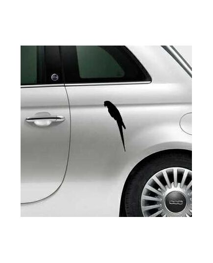 Parrot Fiat 500 Decal