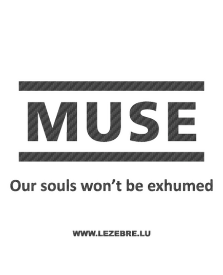 Muse Souls Carbon Decal