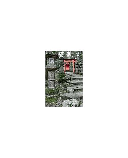 Sticker Mural, photo de Kyoto sculpture et torri, celine