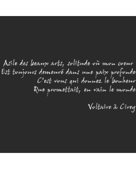 Tee shirt Voltaire Cirey