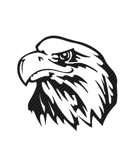 Eagle Carbon Decal 7