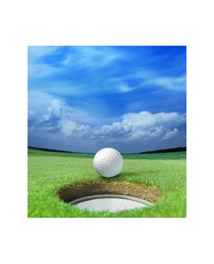 Sticker Déco Balle de Golf Devant Trou