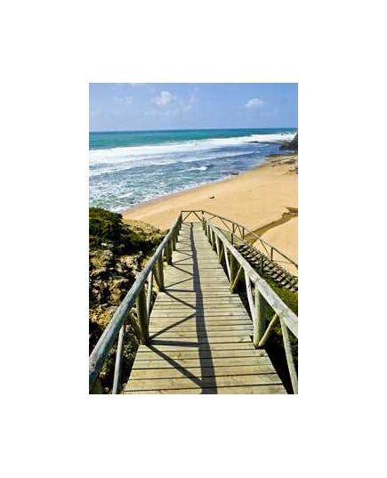 Sticker Déco Chemin en bois vers plage Portugal