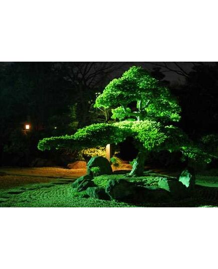 Sticker groß Jardin japonais de nuit