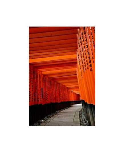 Sticker Mural, photo 10 000 Portes rouges (torii) de Kyoto, celine