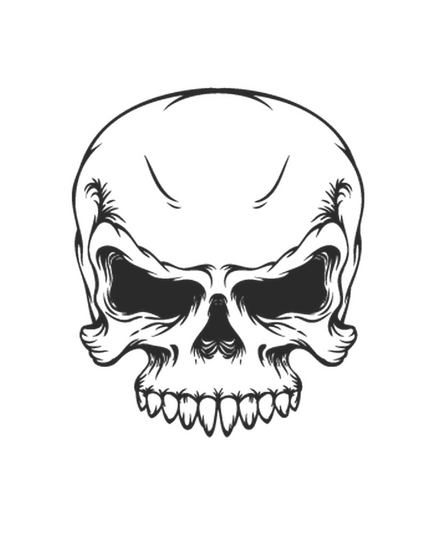 EMO Skull Citroen DS3 Decal