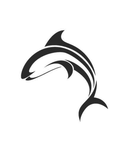 Dolphin Camping Car Decal 3