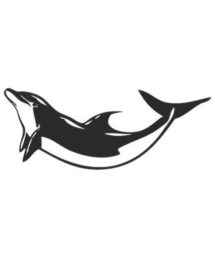Dolphin Camping Car Decal